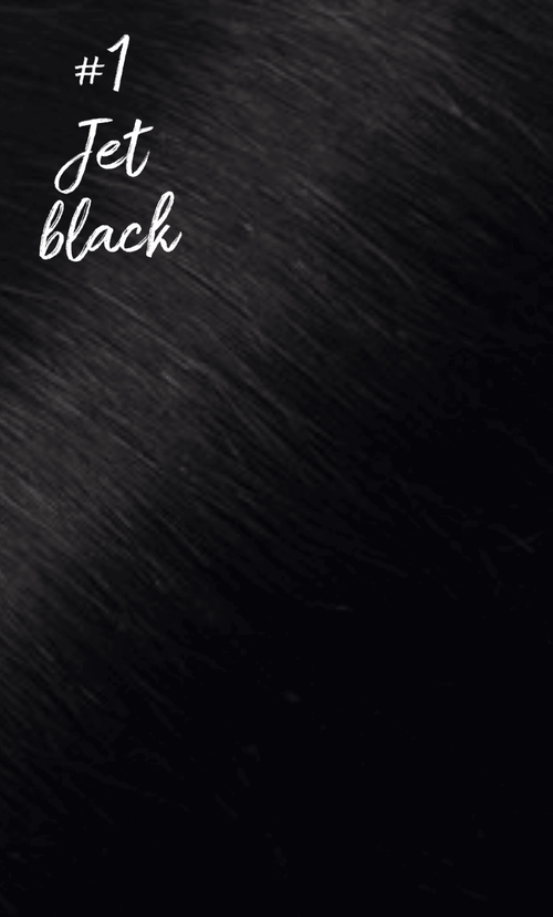 Professional Hand Tied Weft Hair Extensions  Jet Black